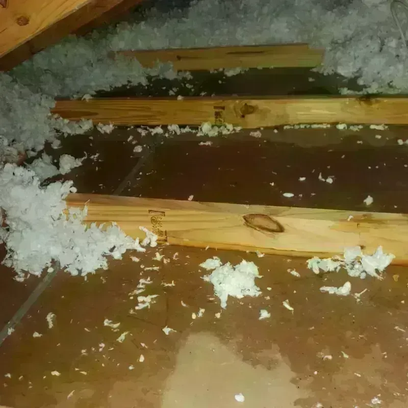 Attic Water Damage in Wilkes County, GA