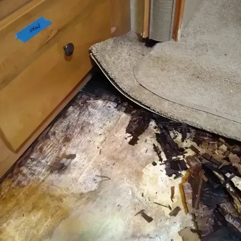 Best Wood Floor Water Damage Service in Wilkes County, GA